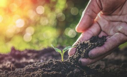 Healthy Growth Multiplies: Iran and the Fruit of Faith: ChurchLeaders