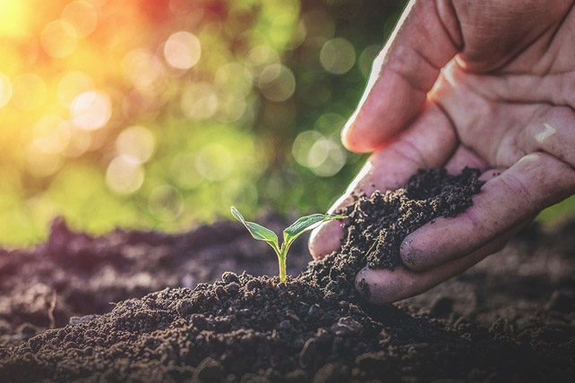 Healthy Growth Multiplies: Iran and the Fruit of Faith: ChurchLeaders