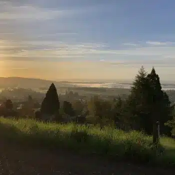 Iranian Immigrants Face Anti-Christian Biases in the U.S.: Patheos